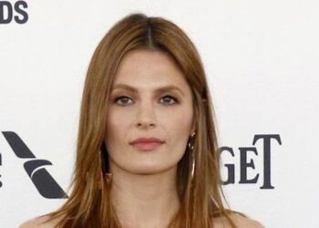 The Role That No One Remembers Stana Katic Played…