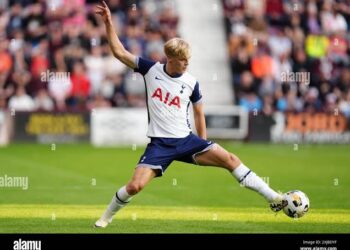 Tottenham Hotspur Football News :  Lucas Bergvall explains his on-field choking incident in pre-season