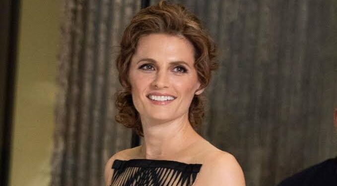 Castle’s Stana Katic Subtly Invited 1st Child With…