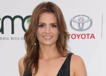 In a new television series, Stana Katic will portray a police officer…