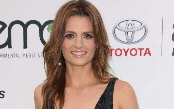 In a new television series, Stana Katic will portray a police officer…