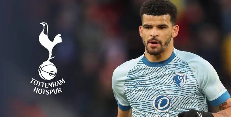 Spur news : Dominic Solanke amazed by Tottenham star in training and says he has ‘something rare’ 