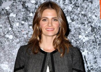 Was Stana Katic and Nathan Fillion ever able to reconcile?