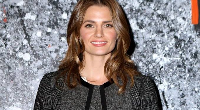 Was Stana Katic and Nathan Fillion ever able to reconcile?