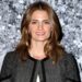 Was Stana Katic and Nathan Fillion ever able to reconcile?