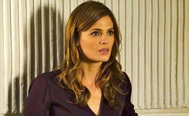 What Makes Castle’s Stana Katic Feeling Appreciative Even After Being Fired…