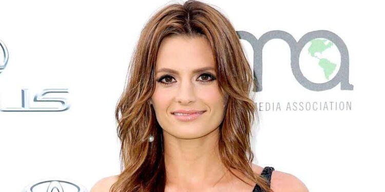 News: Cast members and Stana Katic are leaving….