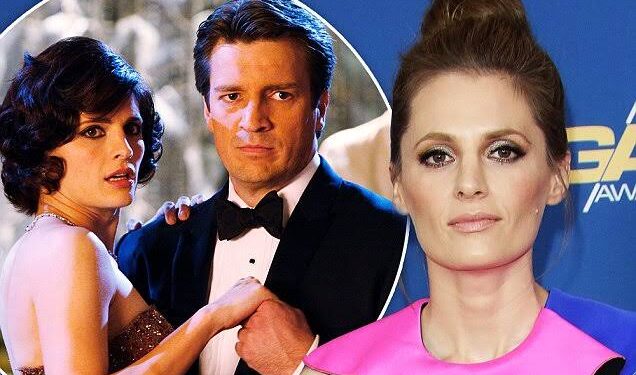 Stana Katic’s unexpected exit from TV’s Castle ‘is due to…’ They do not speak off the set.