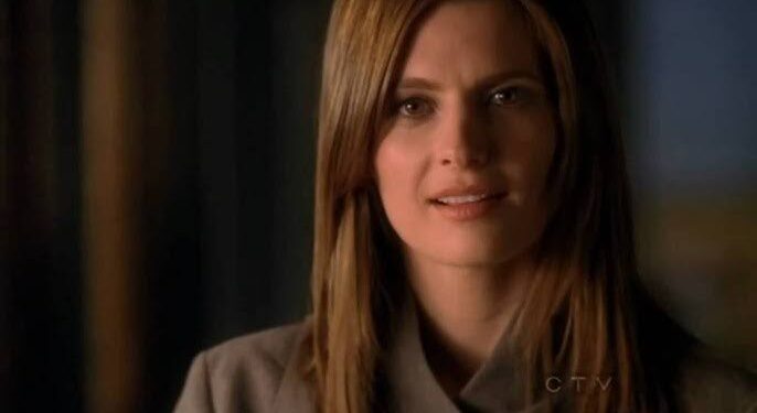 Regarding her relationship with Nathan Fillion, what has Stana Katic said?