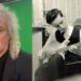 Three well-known performers Brian May witnessed live before Queen…