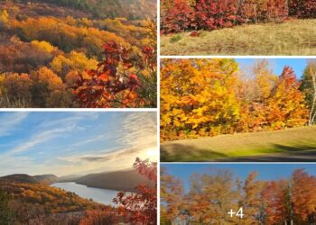 Colors in Ontonagon: A Celebration of Autumn Beauty