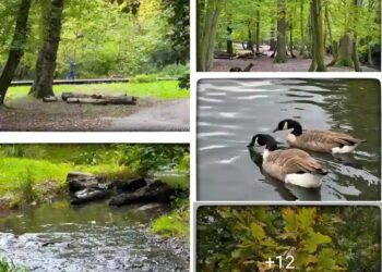 Autumn Walks: Exploring Grovelands Park and Church Hill in Winchmore Hill