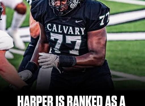 The 7-foot-6 center from Canada, Olivier Rioux, gave five reasons on social media for his decision to leave the Florida Gators basketball team and revealed that he has committed to Ole Miss for the upcoming season. …