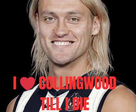 LOYALTY OVER LEGACY:Darcy Moore Rejects $45M Bulldogs Offer—’Collingwood  is My Home!’ AFL Fans, This One’s For You