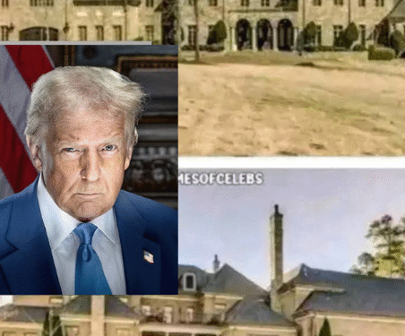 Breaking News: Donald Trump,USA President Invests $9.6 Million to Transform a House into Shelter for Homeless Youth in USA after serious….