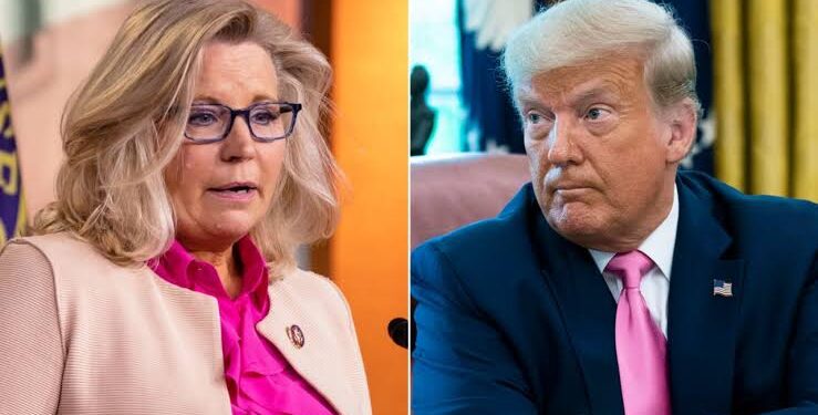 Breaking:Liz Cheney hits back at Trump’s violent rhetoric