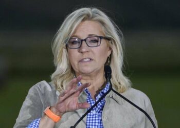 BREAKING NEWS: Former Congresswoman Liz Cheney Makes Shocking Statement About Donald Trump Future as President