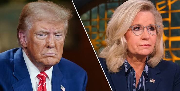 BREAKING NEWS: Liz Cheney $38M Government Deal Faces Criticism as USA President Trump Shines