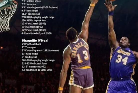 “Unbelievable Showdown: Shaquille O’Neal vs. Wilt Chamberlain—You Won’t Believe Who Has the Most Jaw-Dropping Physical Stats!”